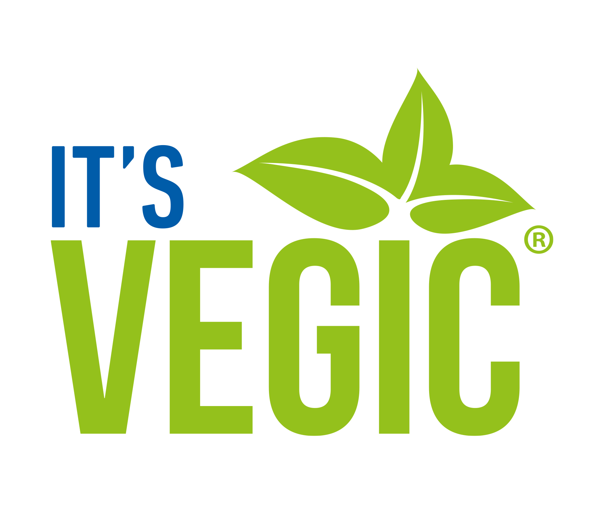 It's Vegic Logo